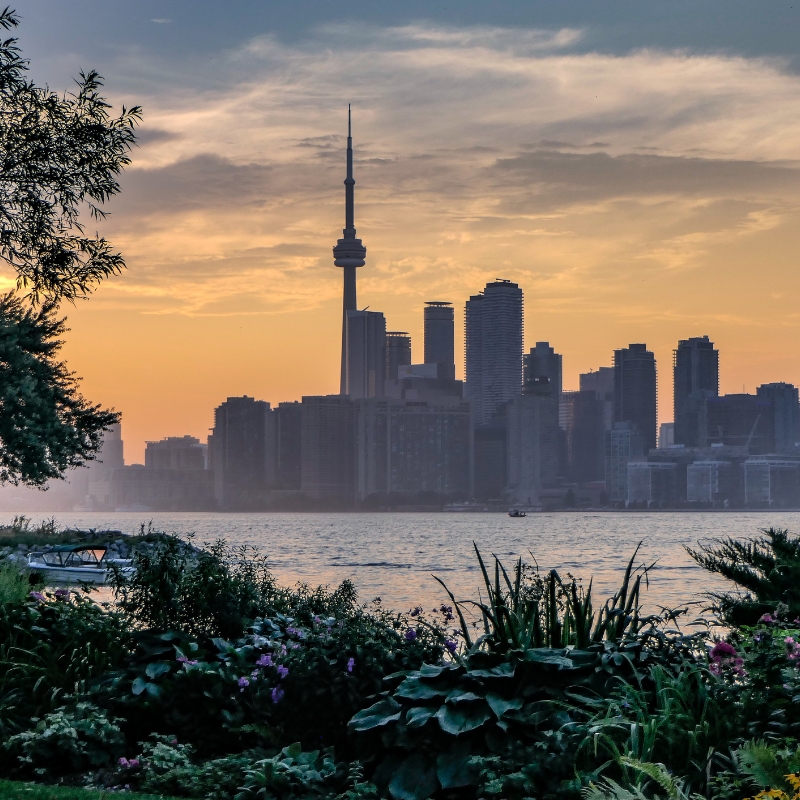 Designated Learning Institution